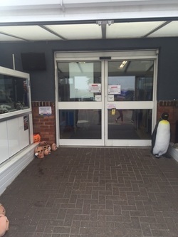 Automatic door upgrade to Aquatics Centre in Southend-On-Sea Essex